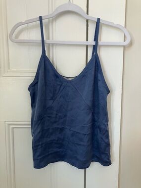 Everlane Blue 100% Silk Cami Tank Top